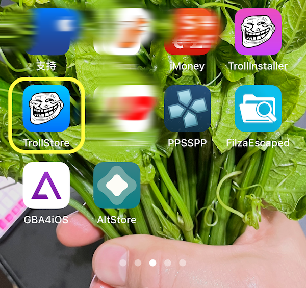 图片[2]-TrollStore巨魔商店永久安装任何APP，支持iOS14.0~15.4.1-个人文章分享-玫用-分享技术知识与自媒体-玫吧-技术交流
